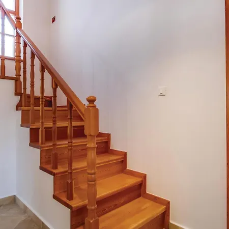 Pet Friendly In Nyaraló *