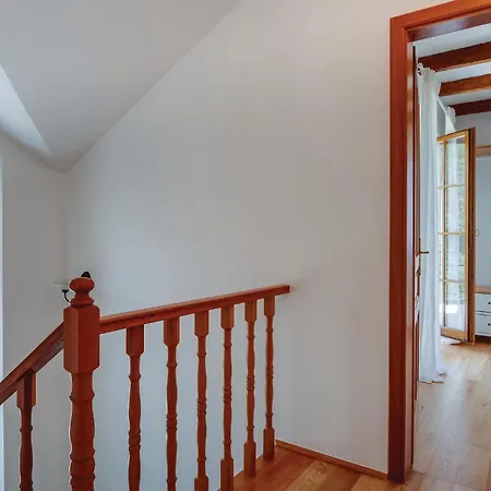 Pet Friendly In Nyaraló Sveti Jakov