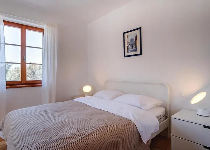 Pet Friendly In * Sveti Jakov