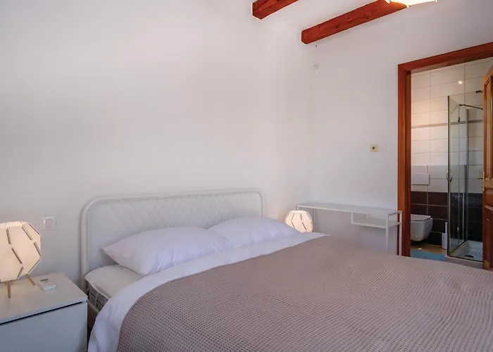 Pet Friendly In بيت للعطل